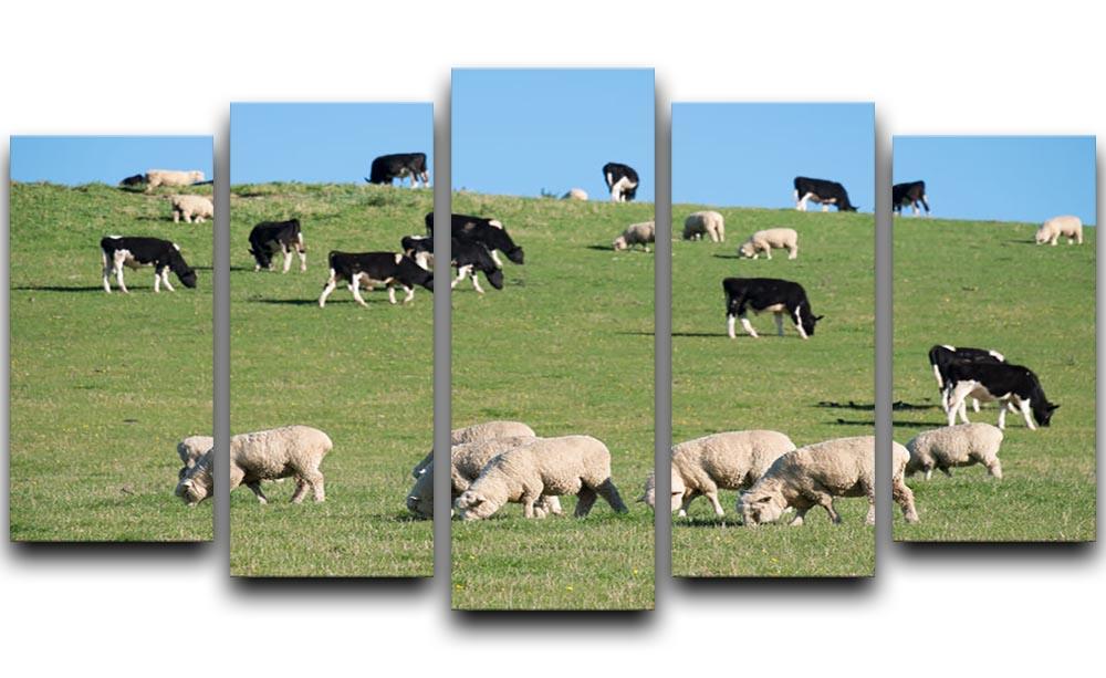 Sheeps in green rural meadow with cows 5 Split Panel Canvas - Canvas Art Rocks - 1