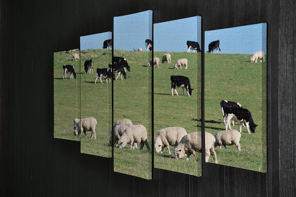 Sheeps in green rural meadow with cows 5 Split Panel Canvas - Canvas Art Rocks - 2