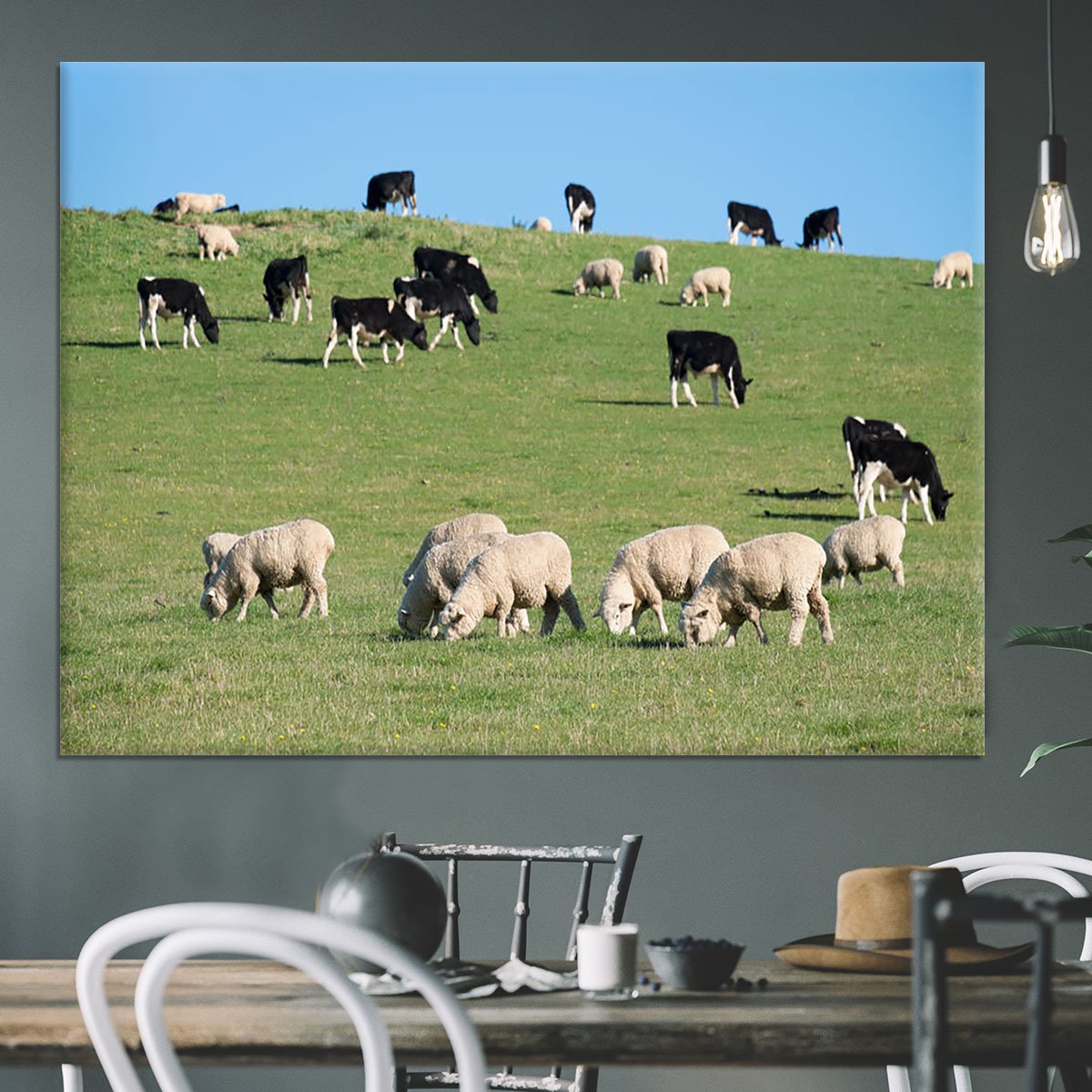 Sheeps in green rural meadow with cows Canvas Print or Poster