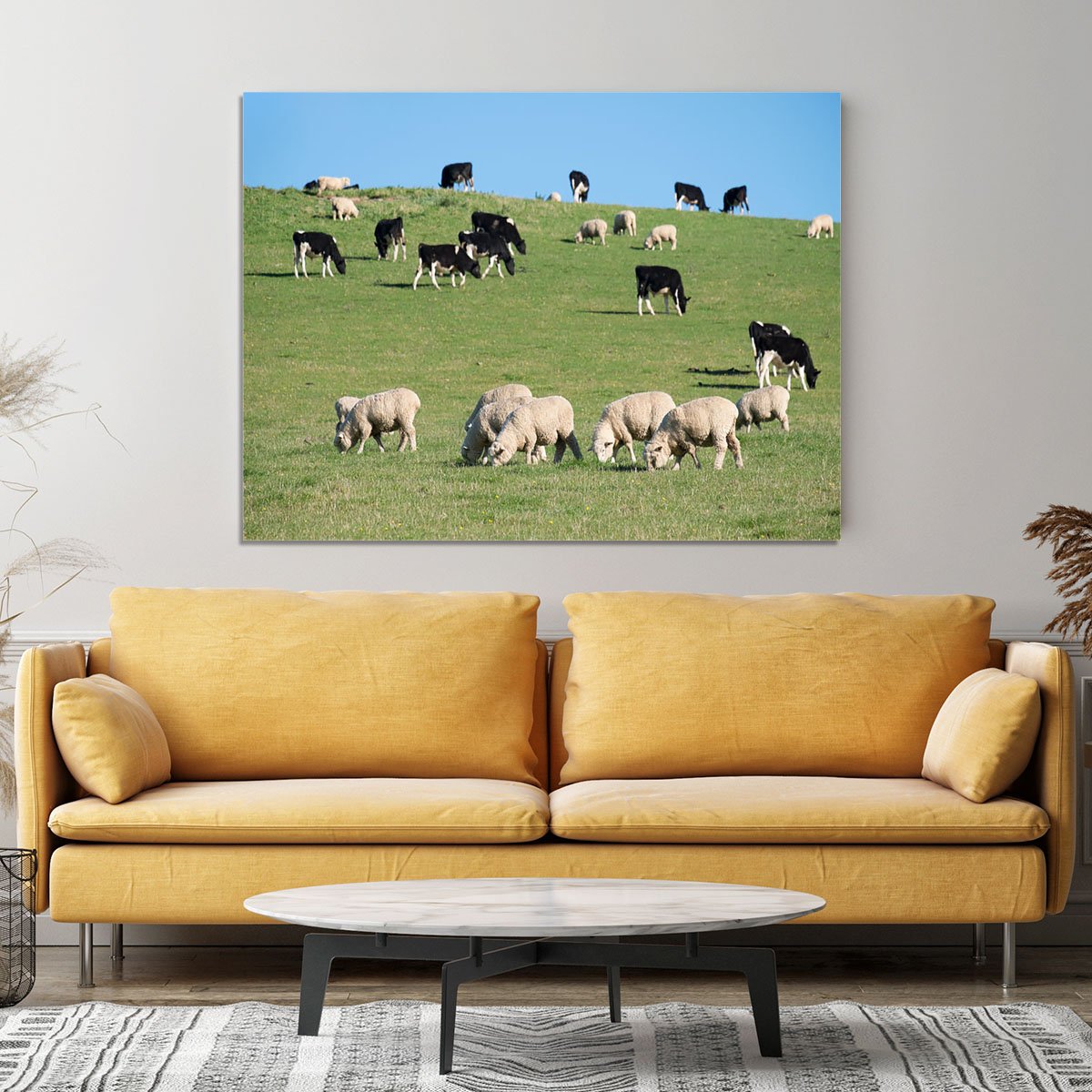 Sheeps in green rural meadow with cows Canvas Print or Poster
