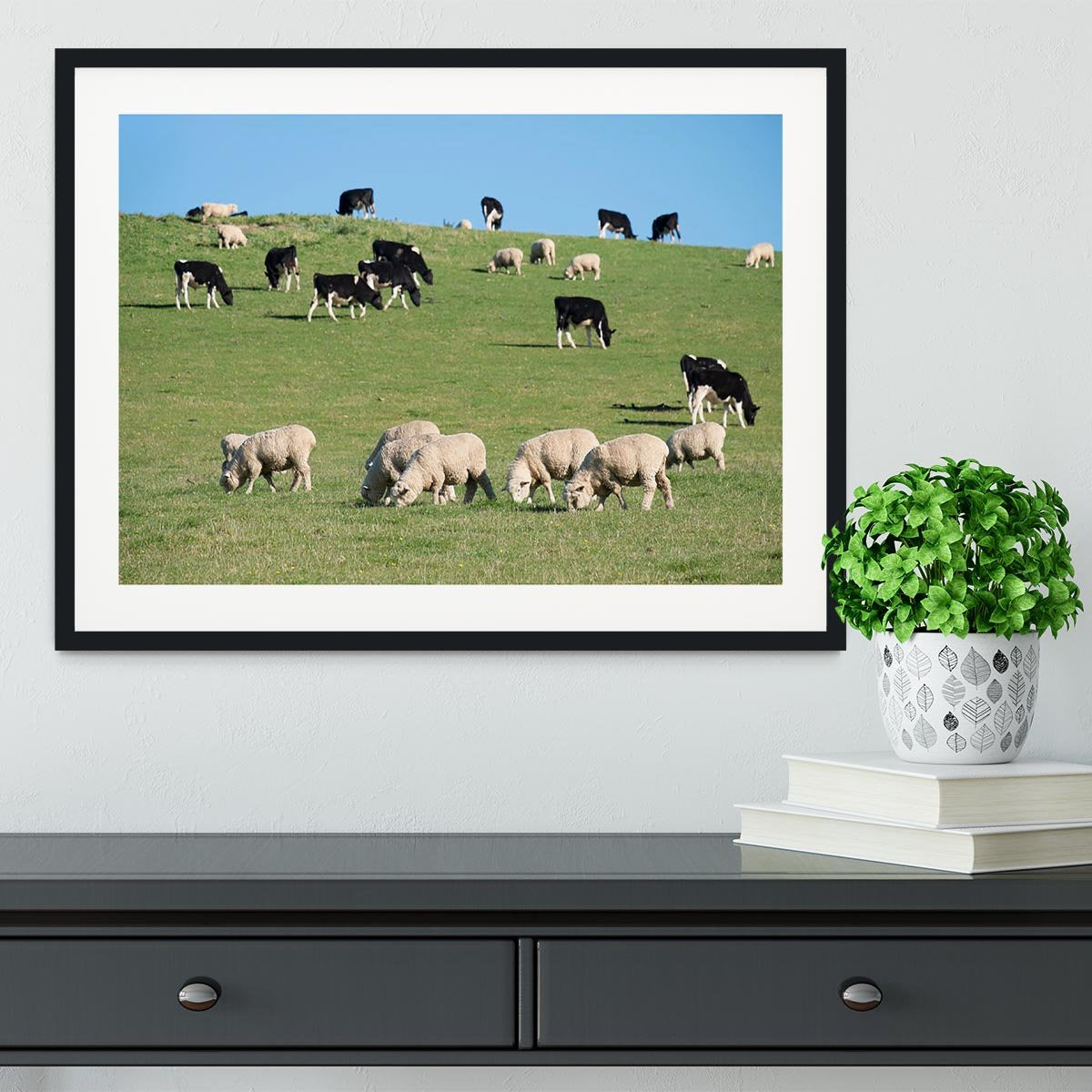 Sheeps in green rural meadow with cows Framed Print - Canvas Art Rocks - 1
