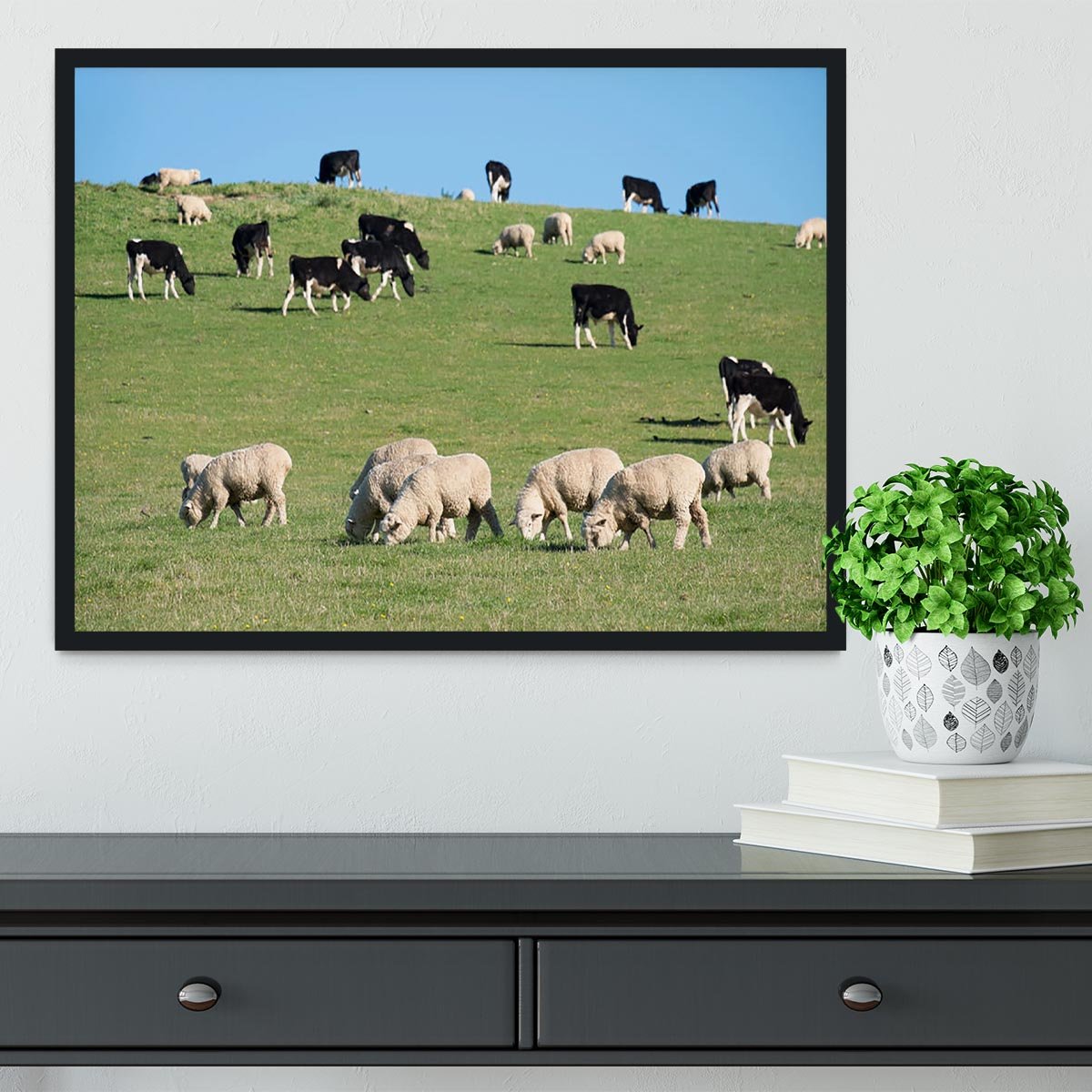Sheeps in green rural meadow with cows Framed Print - Canvas Art Rocks - 2