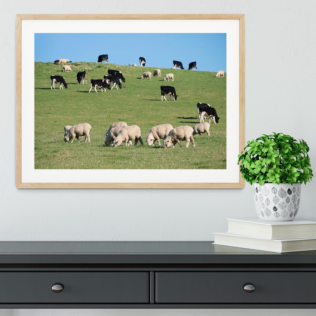 Sheeps in green rural meadow with cows Framed Print - Canvas Art Rocks - 3