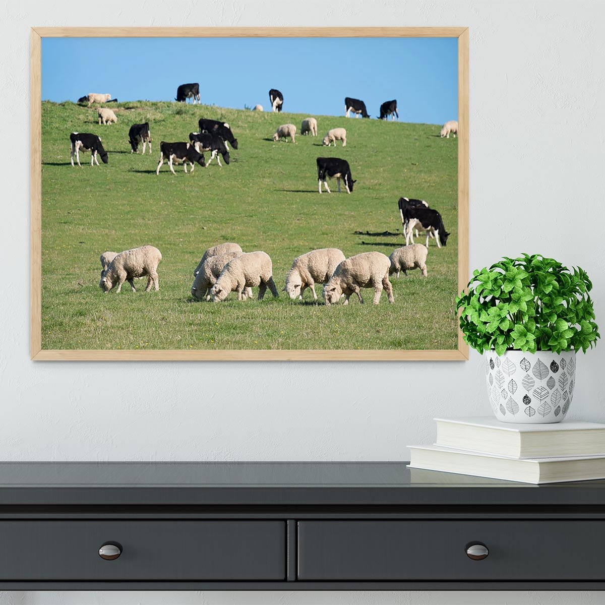 Sheeps in green rural meadow with cows Framed Print - Canvas Art Rocks - 4