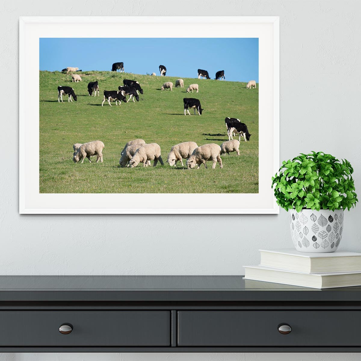 Sheeps in green rural meadow with cows Framed Print - Canvas Art Rocks - 5