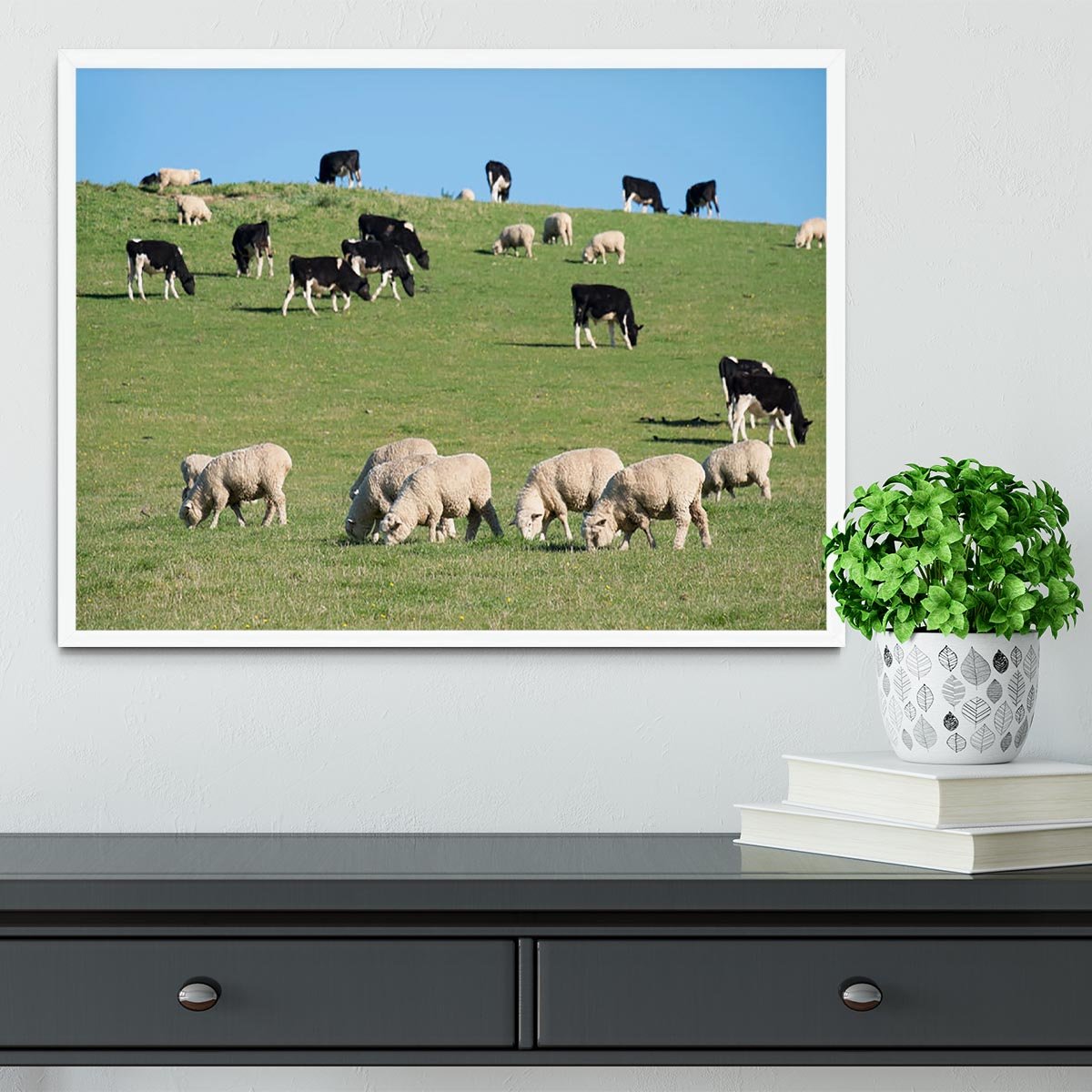 Sheeps in green rural meadow with cows Framed Print - Canvas Art Rocks -6