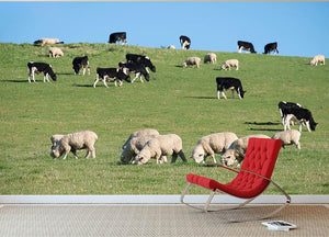 Sheeps in green rural meadow with cows Wall Mural Wallpaper - Canvas Art Rocks - 2