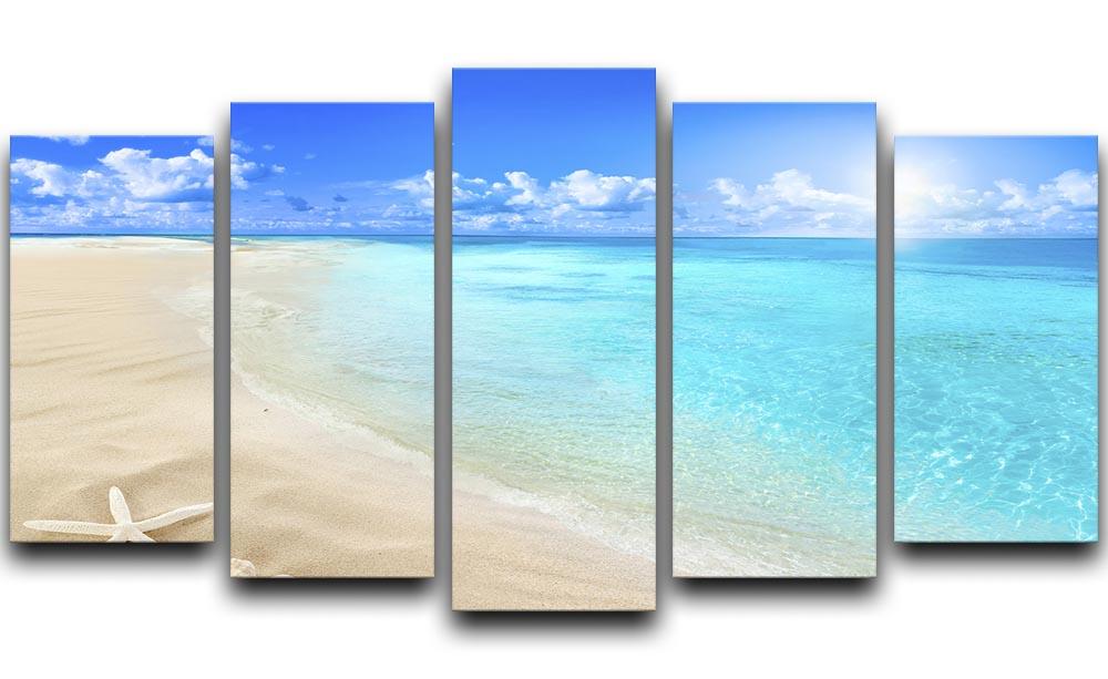 Shells on sunny beach 5 Split Panel Canvas - Canvas Art Rocks - 1