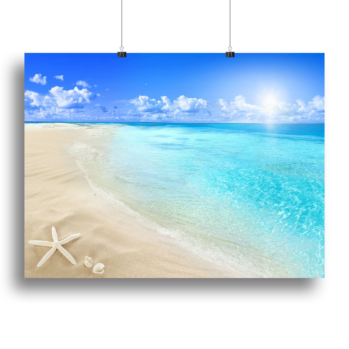 Shells on sunny beach Canvas Print or Poster