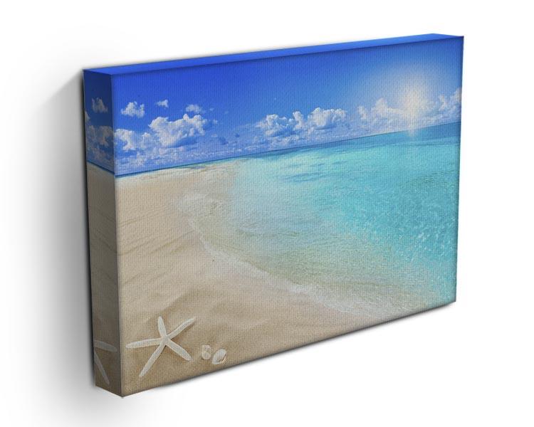Shells on sunny beach Canvas Print or Poster - Canvas Art Rocks - 3