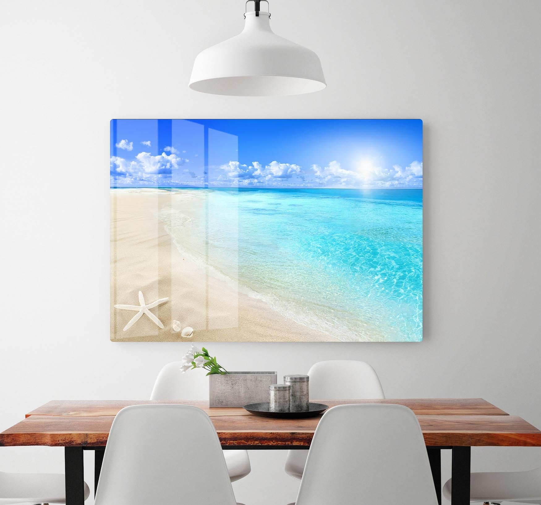 Shells on sunny beach HD Metal Print - Canvas Art Rocks - 2