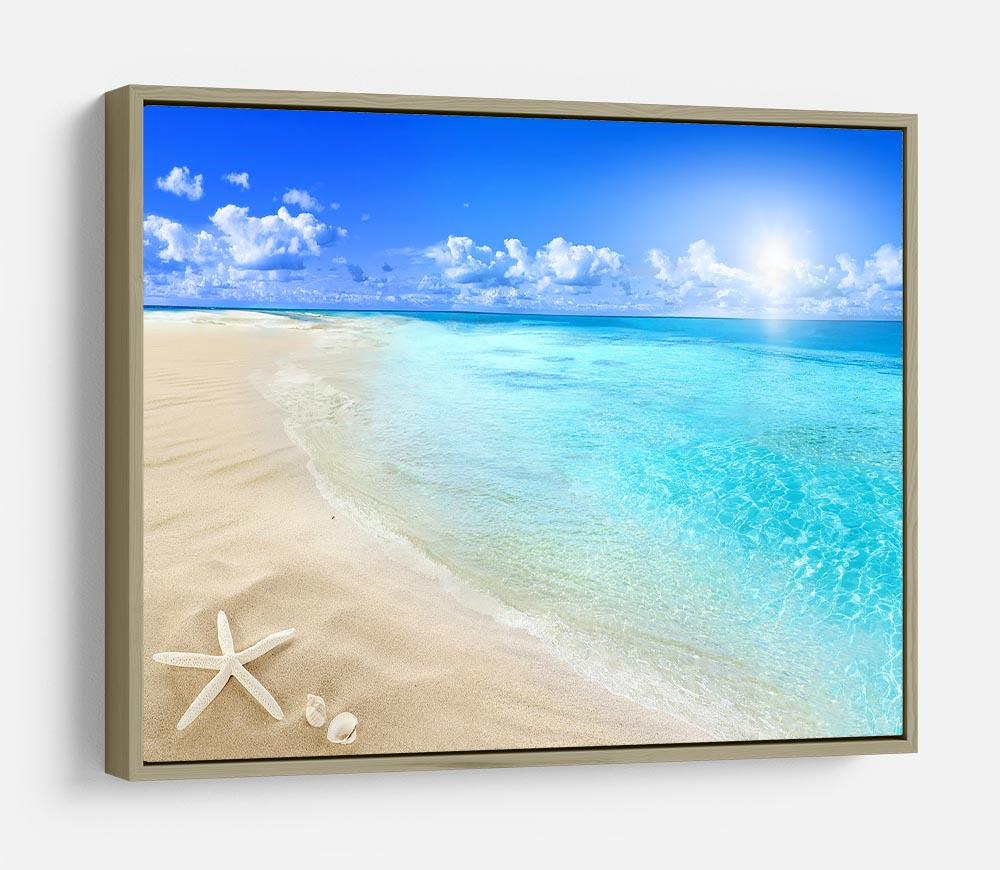 Shells on sunny beach HD Metal Print - Canvas Art Rocks - 8