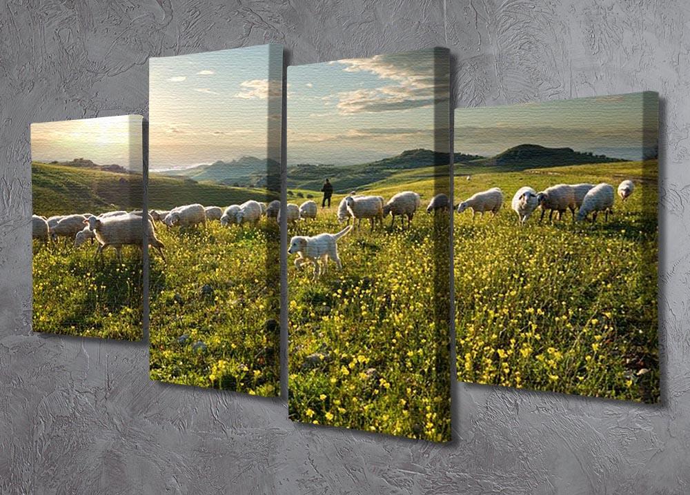 Shepherd with dog and sheep 4 Split Panel Canvas - Canvas Art Rocks - 2
