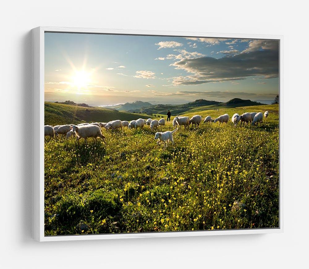 Shepherd with dog and sheep HD Metal Print - Canvas Art Rocks - 7