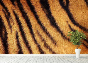 Siberian or Amur tiger stripped fur Wall Mural Wallpaper - Canvas Art Rocks - 4