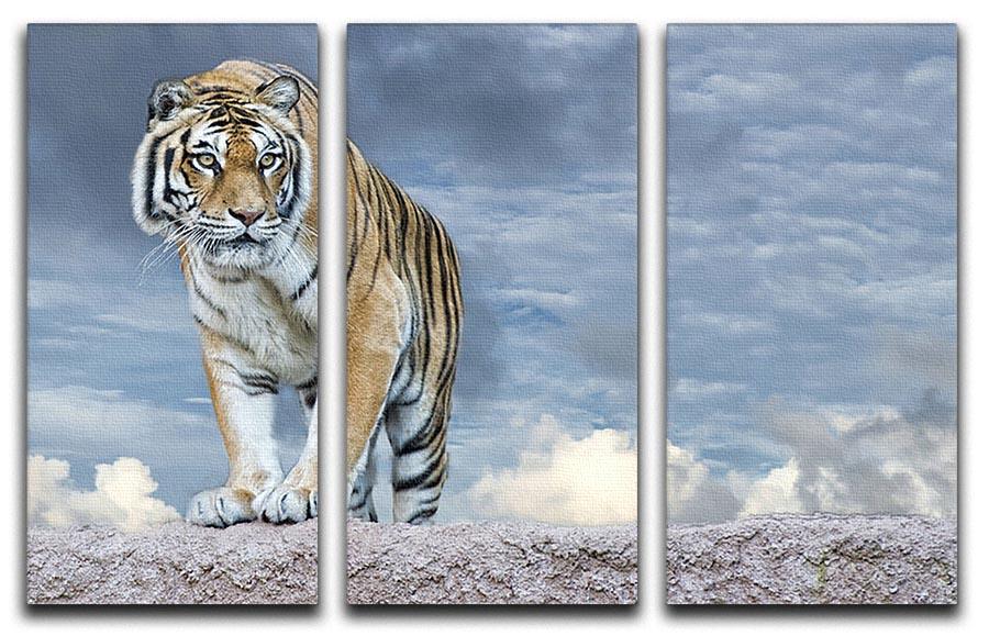 Siberian tiger ready to attack 3 Split Panel Canvas Print - Canvas Art Rocks - 1