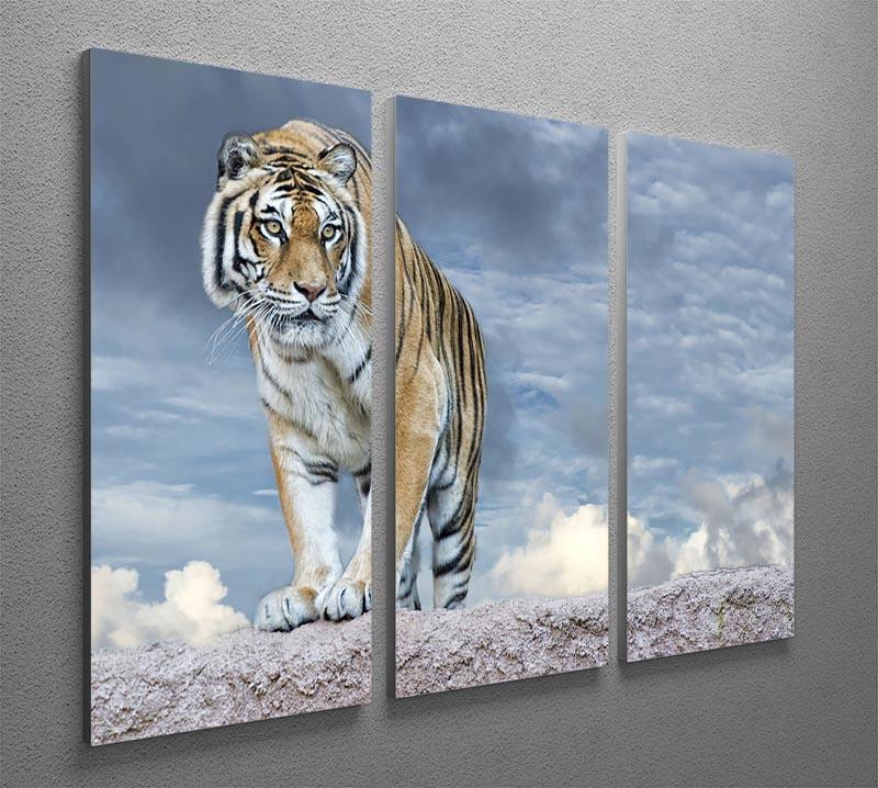 Siberian tiger ready to attack 3 Split Panel Canvas Print - Canvas Art Rocks - 2