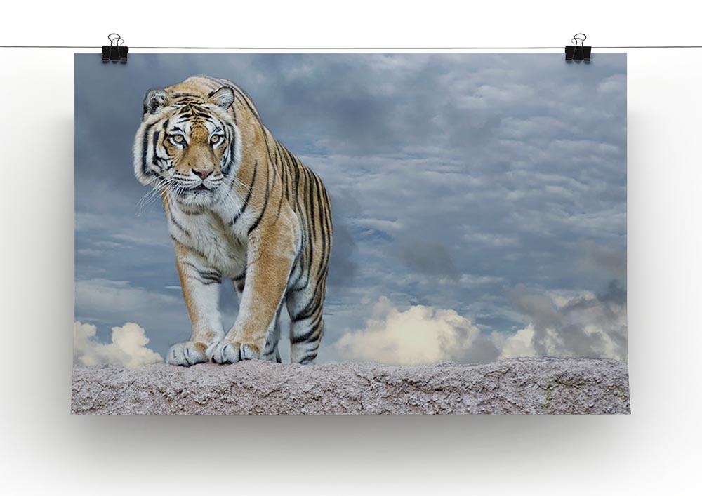 Siberian tiger ready to attack Canvas Print or Poster - Canvas Art Rocks - 2
