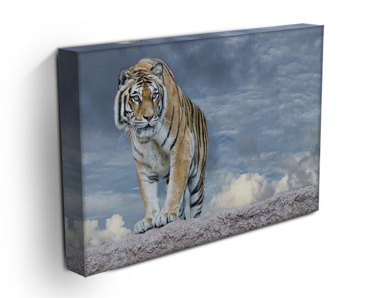 Siberian tiger ready to attack Canvas Print or Poster - Canvas Art Rocks - 3