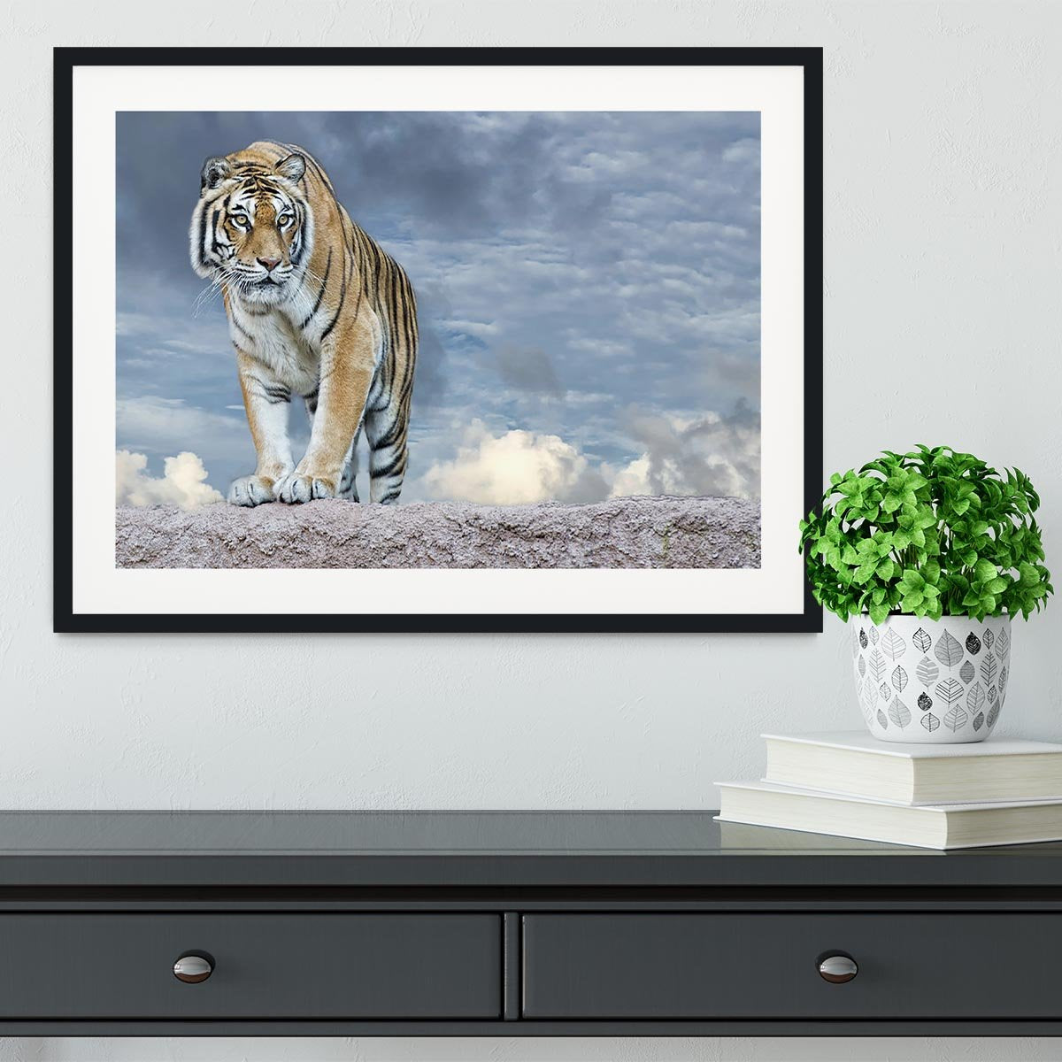 Siberian tiger ready to attack Framed Print - Canvas Art Rocks - 1
