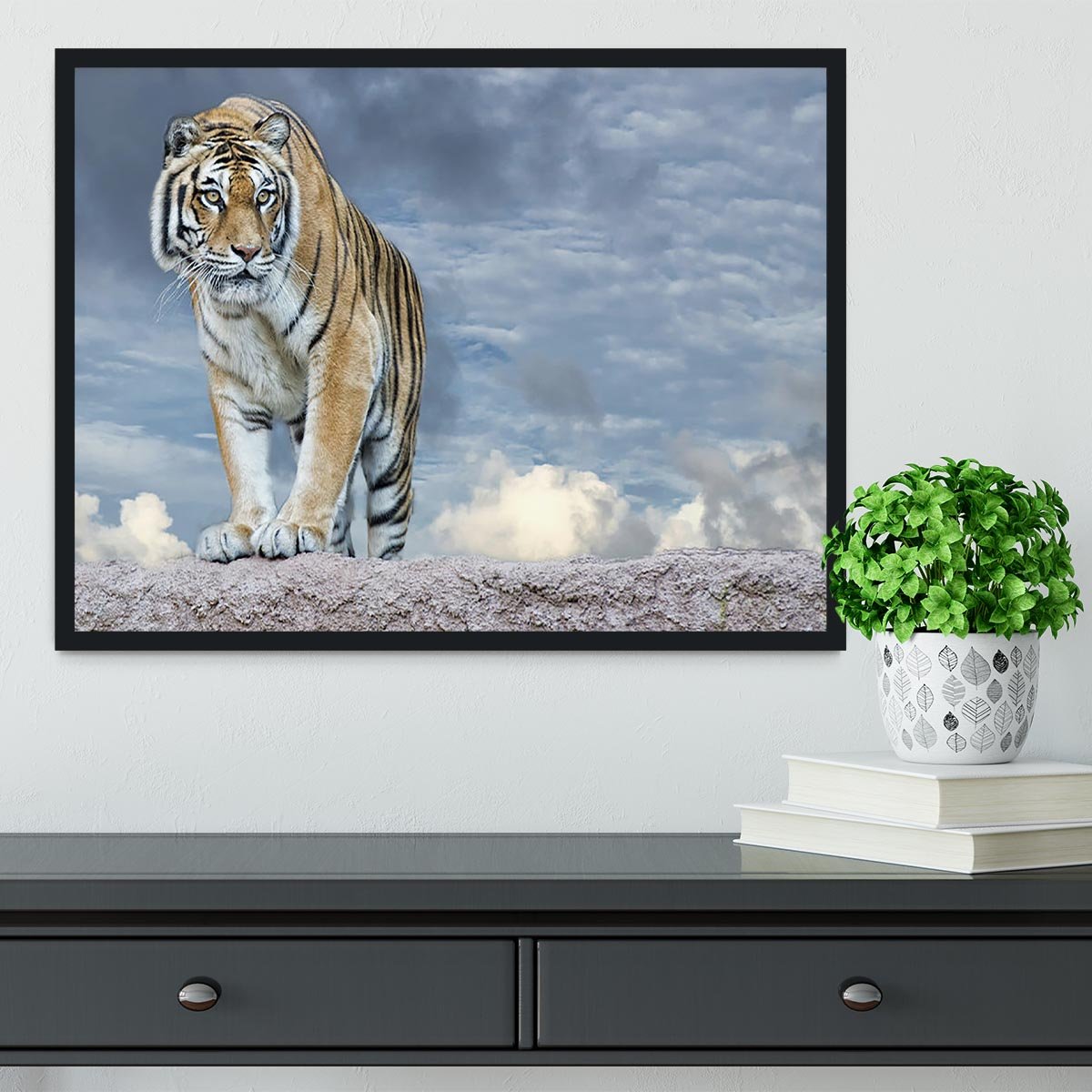 Siberian tiger ready to attack Framed Print - Canvas Art Rocks - 2