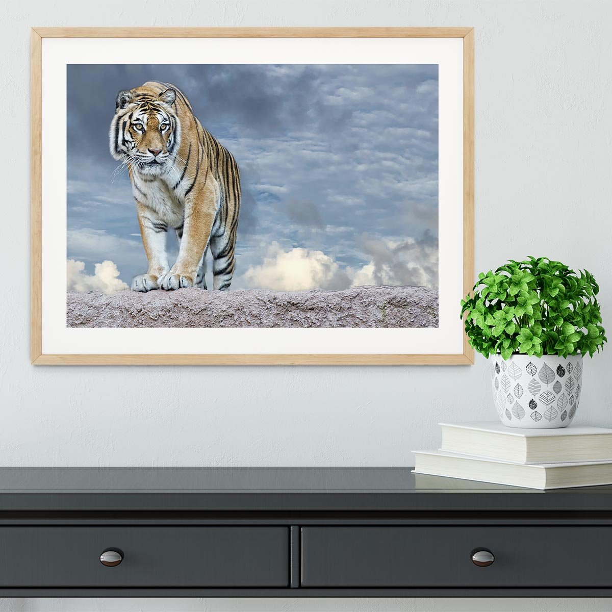 Siberian tiger ready to attack Framed Print - Canvas Art Rocks - 3