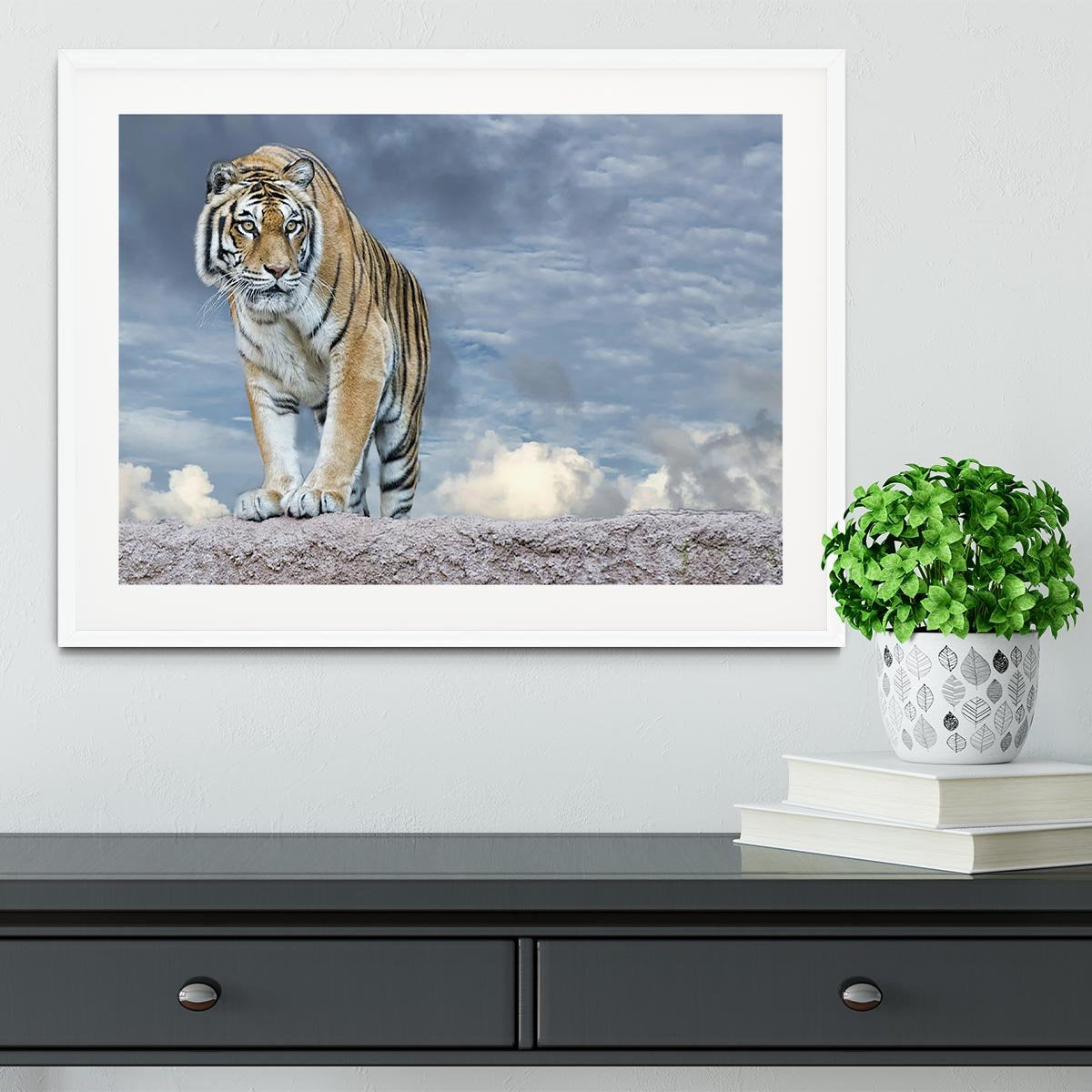 Siberian tiger ready to attack Framed Print - Canvas Art Rocks - 5