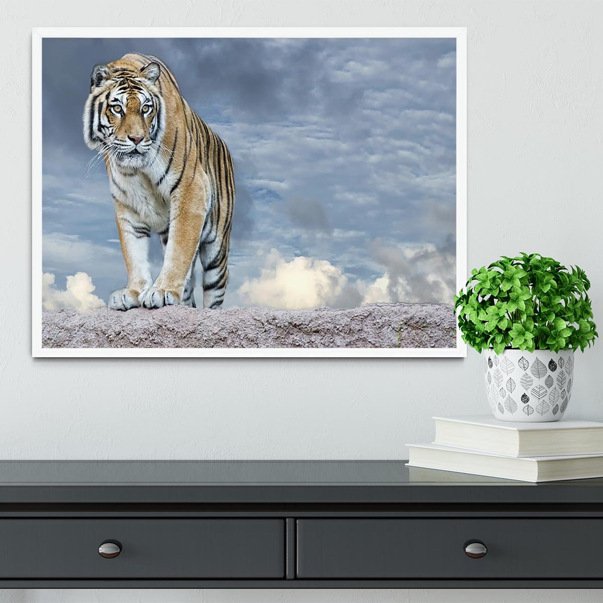 Siberian tiger ready to attack Framed Print - Canvas Art Rocks -6