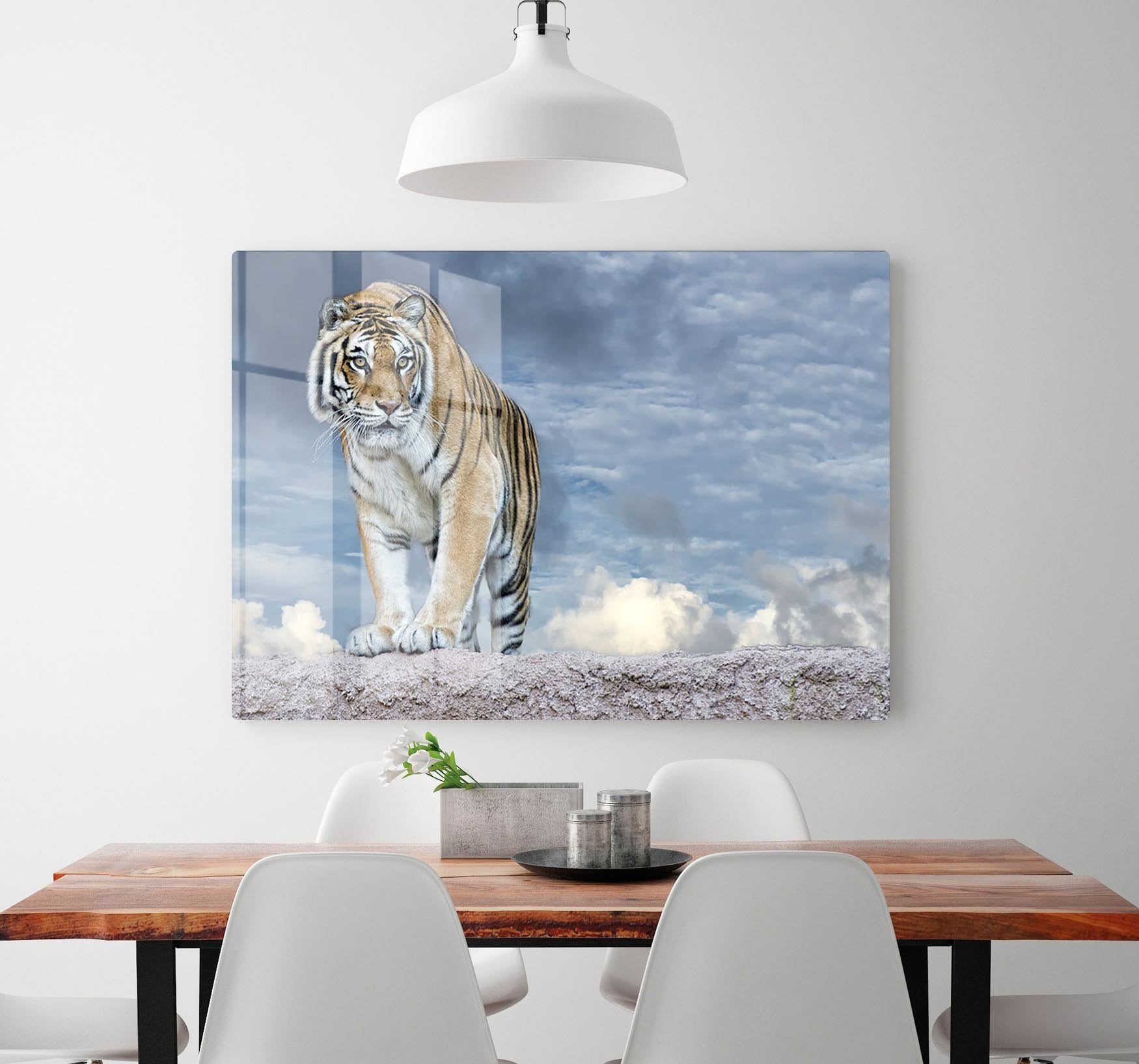 Siberian tiger ready to attack HD Metal Print - Canvas Art Rocks - 2