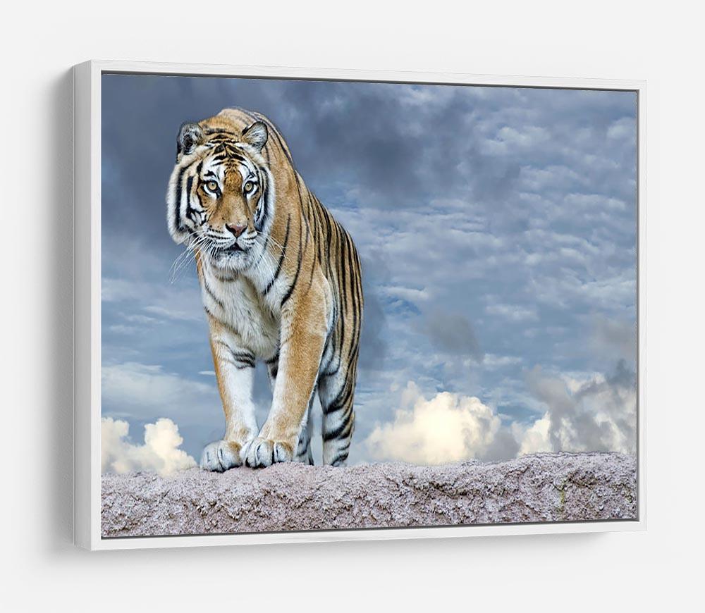 Siberian tiger ready to attack HD Metal Print - Canvas Art Rocks - 7