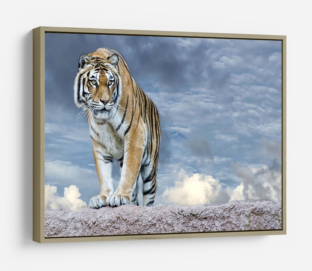 Siberian tiger ready to attack HD Metal Print - Canvas Art Rocks - 8