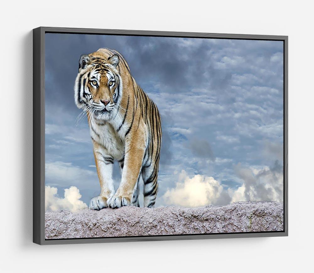 Siberian tiger ready to attack HD Metal Print - Canvas Art Rocks - 9