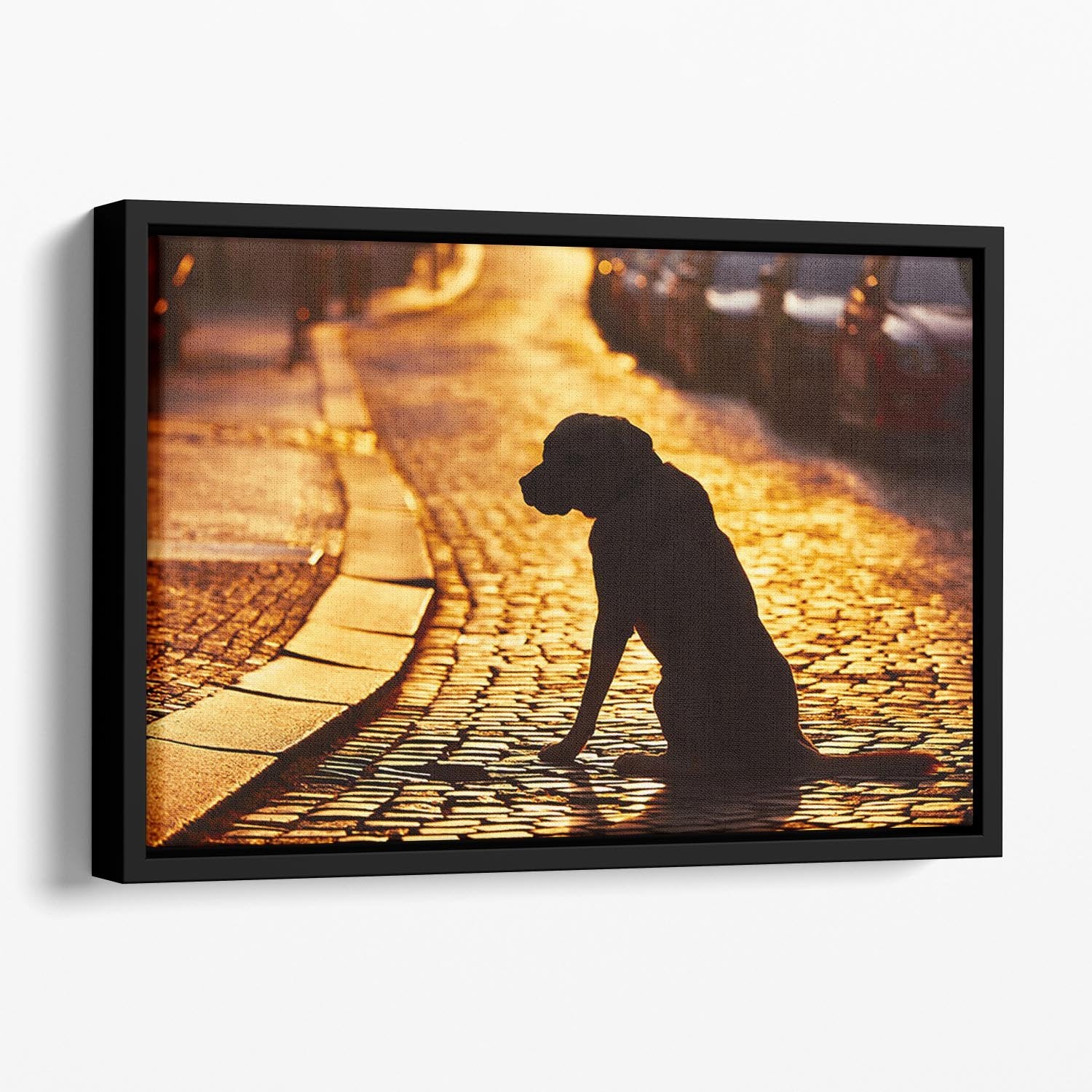 Silhouette of the dog on the street at sunset Floating Framed Canvas - Canvas Art Rocks - 1