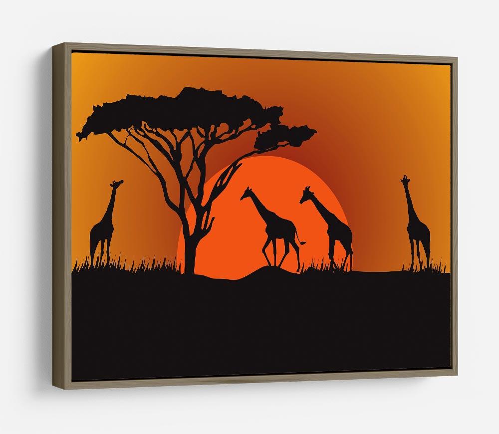 Silhouettes of giraffes in safari sunset HD Metal Print