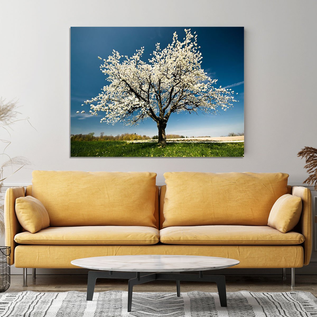 Single blossoming tree in spring Canvas Print or Poster