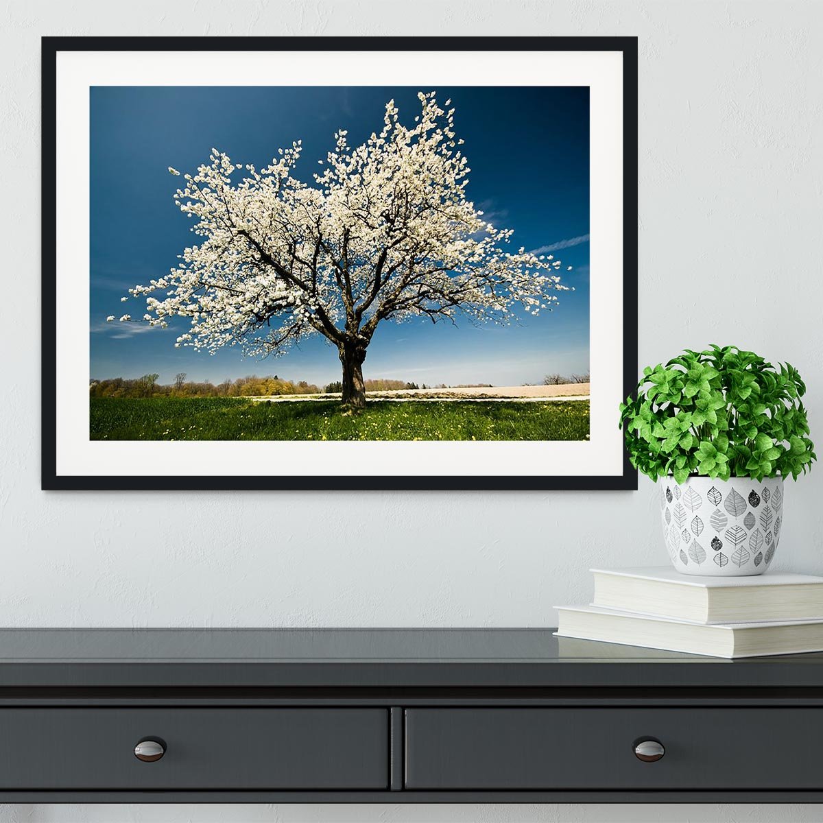 Single blossoming tree in spring Framed Print - Canvas Art Rocks - 1