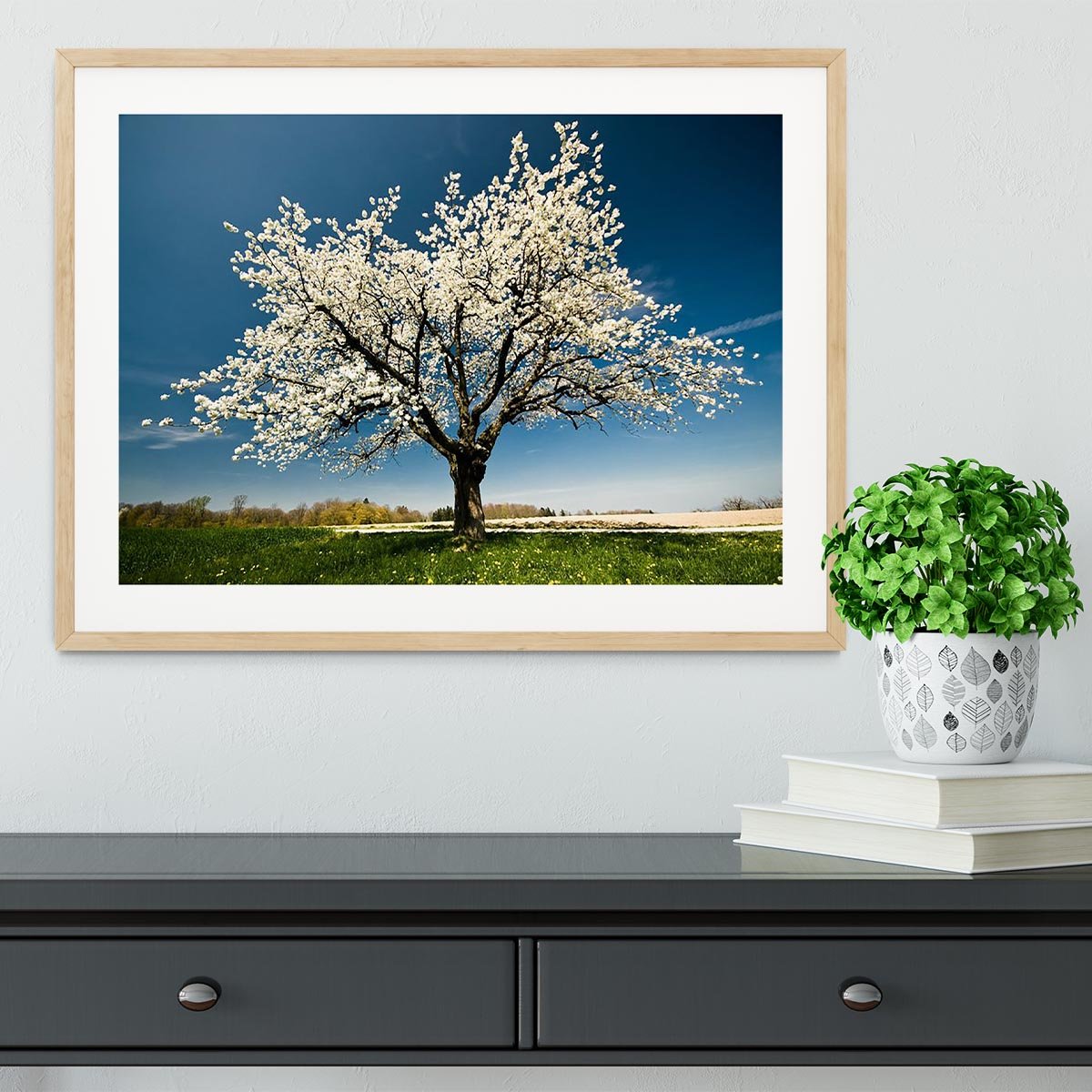 Single blossoming tree in spring Framed Print - Canvas Art Rocks - 3