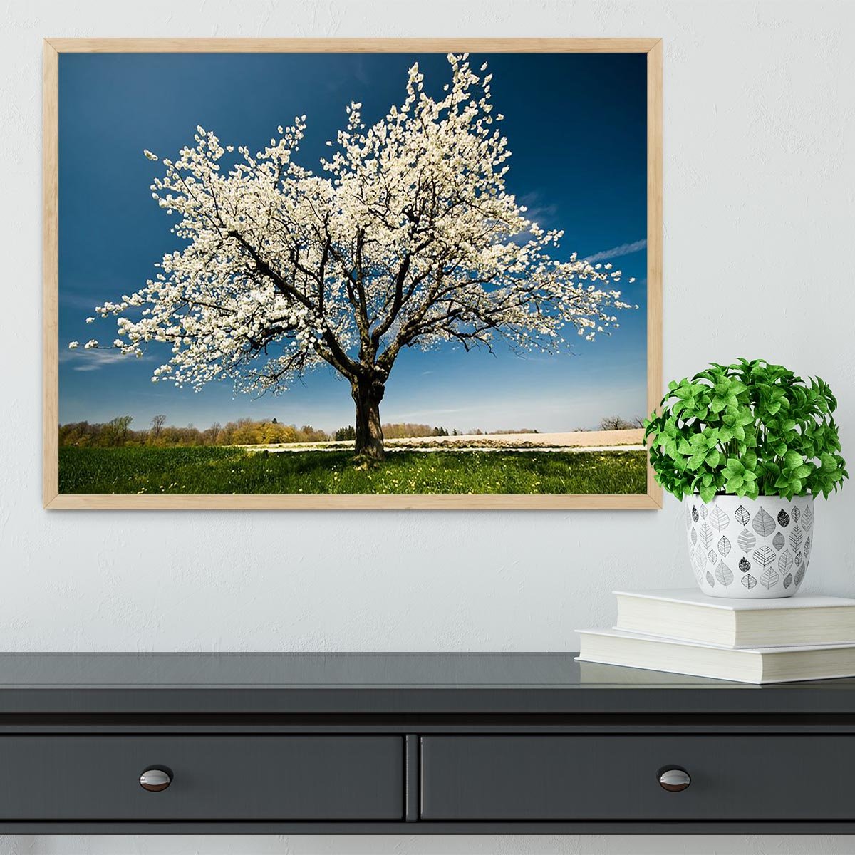 Single blossoming tree in spring Framed Print - Canvas Art Rocks - 4