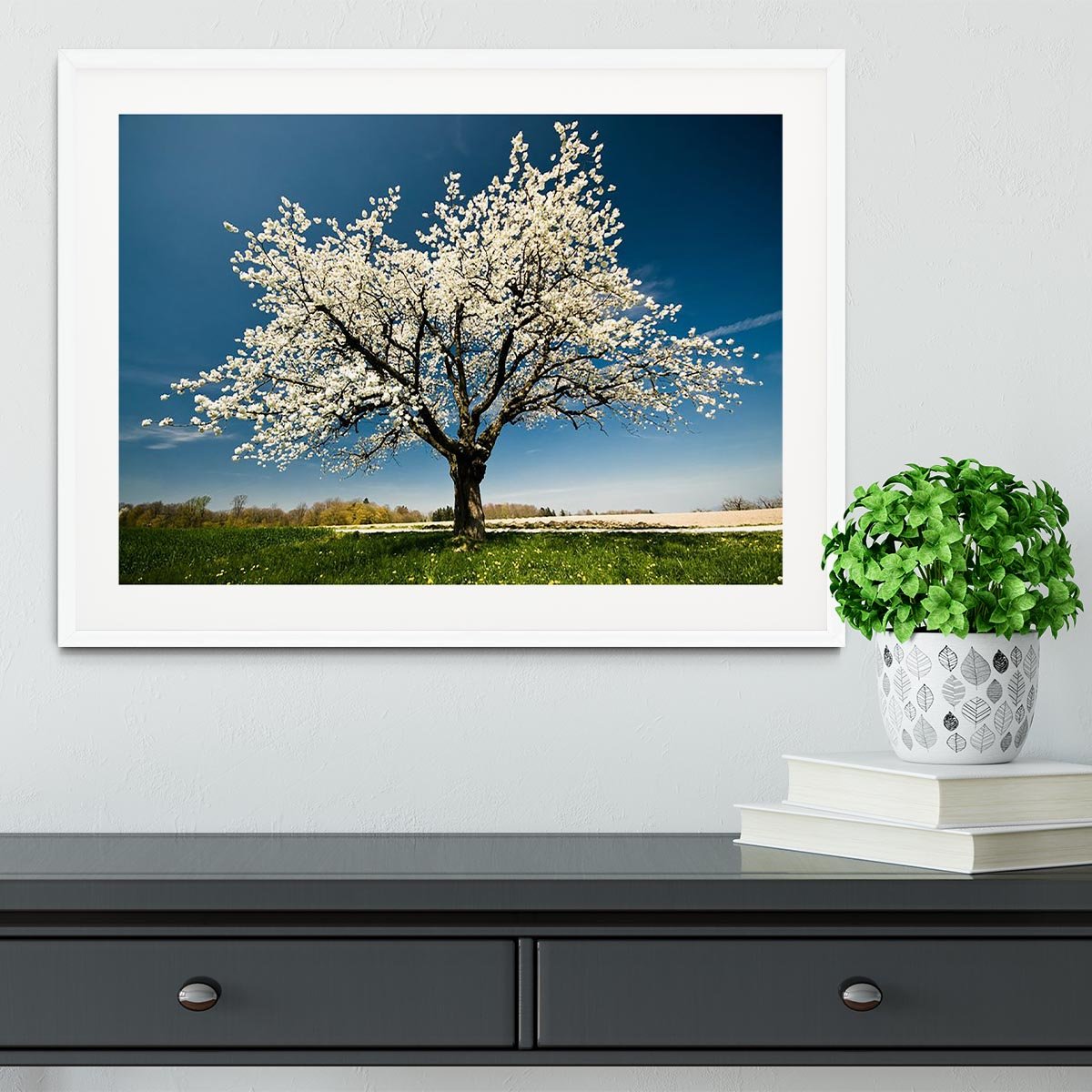 Single blossoming tree in spring Framed Print - Canvas Art Rocks - 5