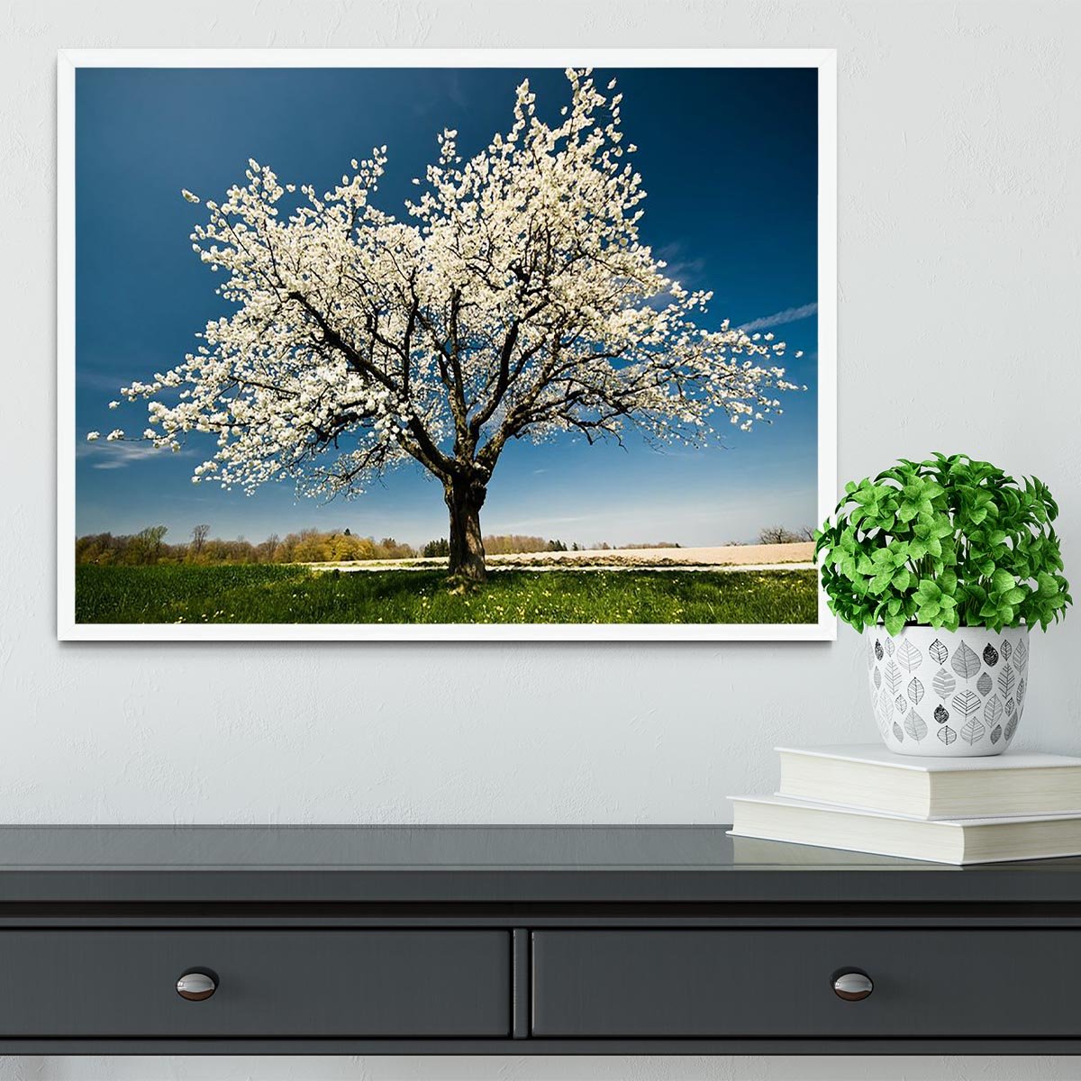 Single blossoming tree in spring Framed Print - Canvas Art Rocks -6