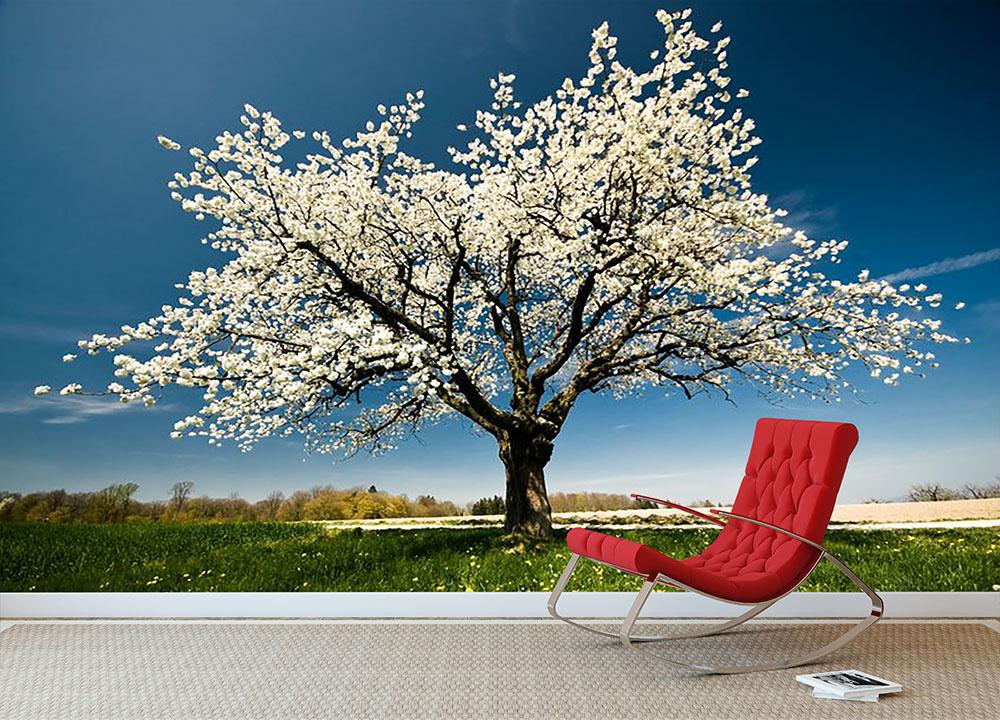 Single blossoming tree in spring Wall Mural Wallpaper | Canvas Art Rocks