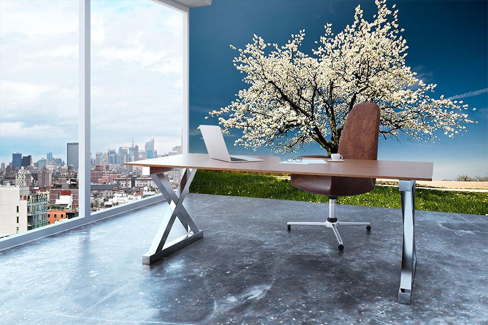 Single blossoming tree in spring Wall Mural Wallpaper - Canvas Art Rocks - 3