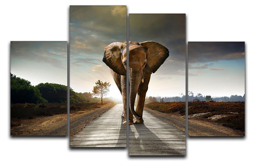 Single elephant walking in a road 4 Split Panel Canvas - Canvas Art Rocks - 1