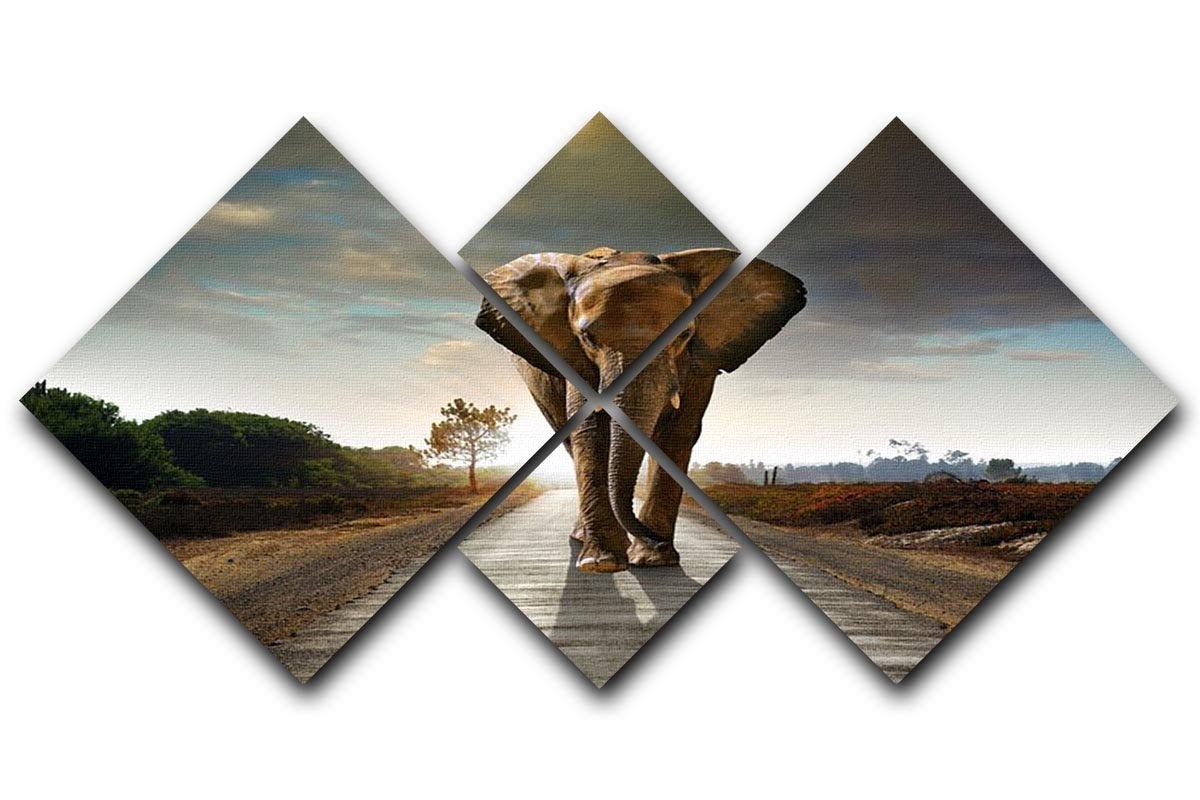 Single elephant walking in a road 4 Square Multi Panel Canvas - Canvas Art Rocks - 1