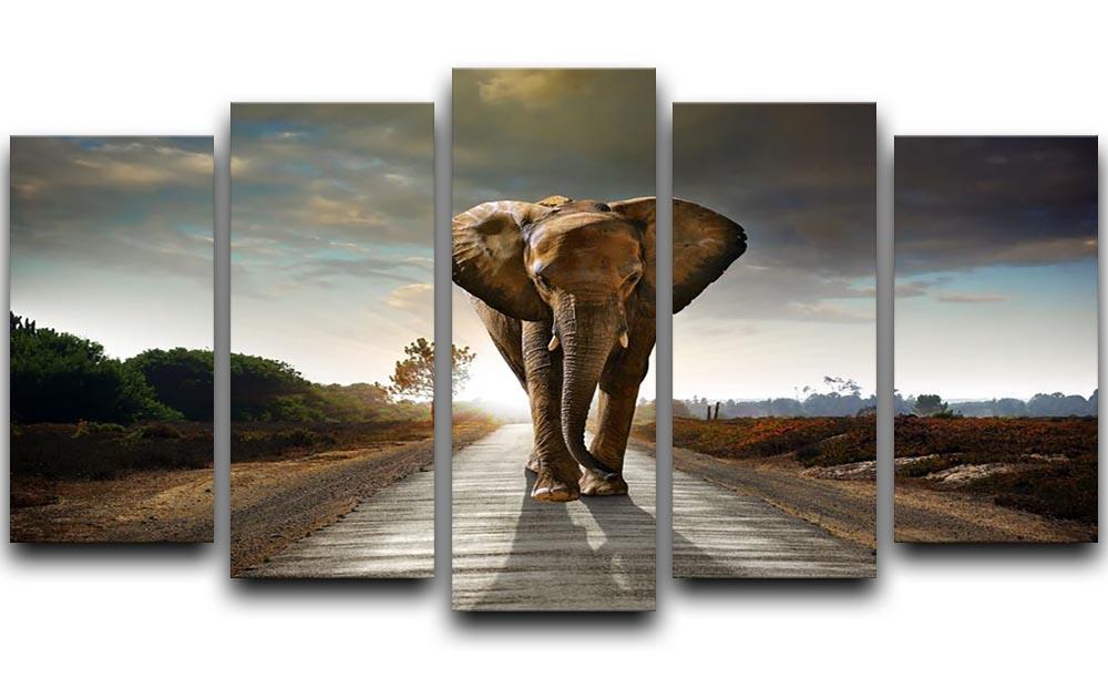 Single elephant walking in a road 5 Split Panel Canvas - Canvas Art Rocks - 1