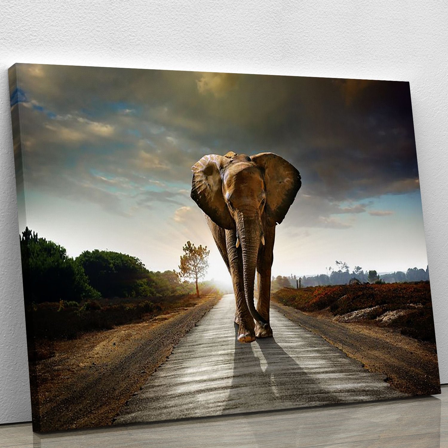 Single elephant walking in a road Canvas Print or Poster