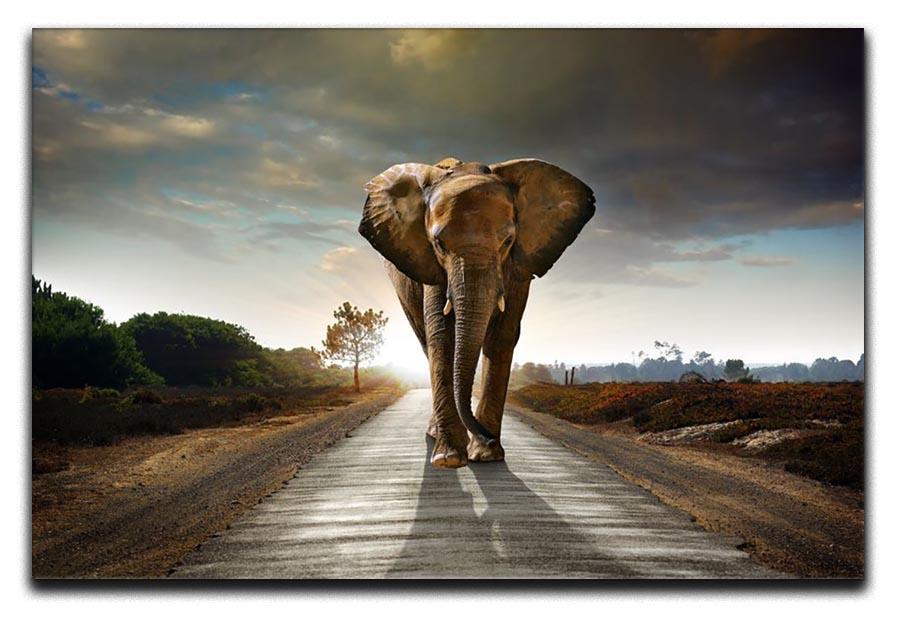 Single elephant walking in a road Canvas Print or Poster - Canvas Art Rocks - 1