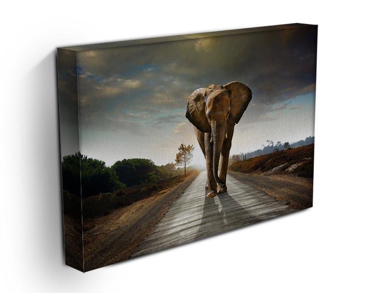 Single elephant walking in a road Canvas Print or Poster - Canvas Art Rocks - 3