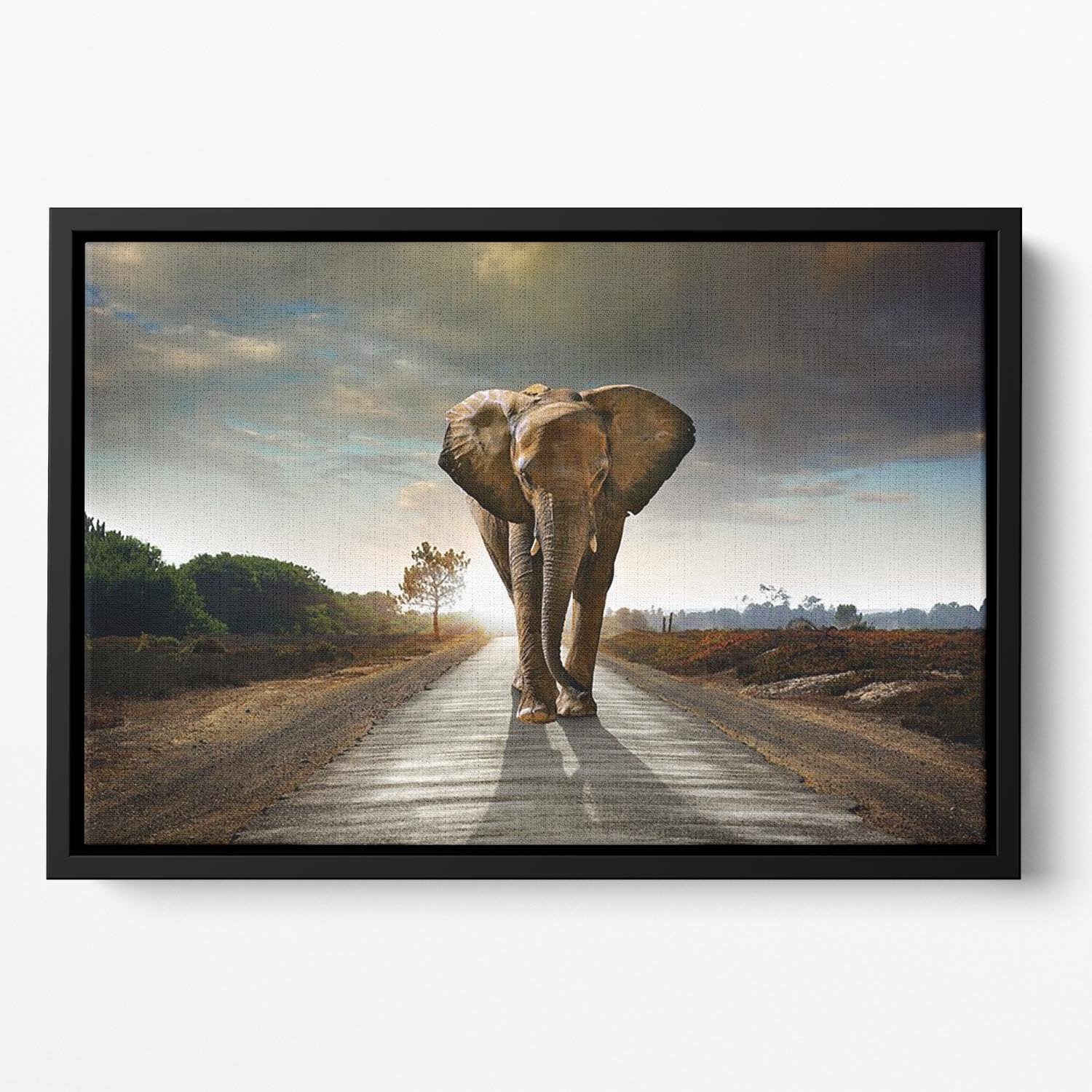 Single elephant walking in a road Floating Framed Canvas - Canvas Art Rocks - 2