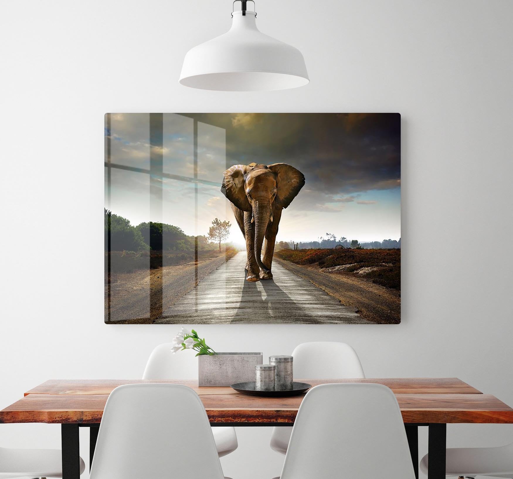 Single elephant walking in a road HD Metal Print - Canvas Art Rocks - 2